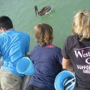 Meet your Posher, Dakota